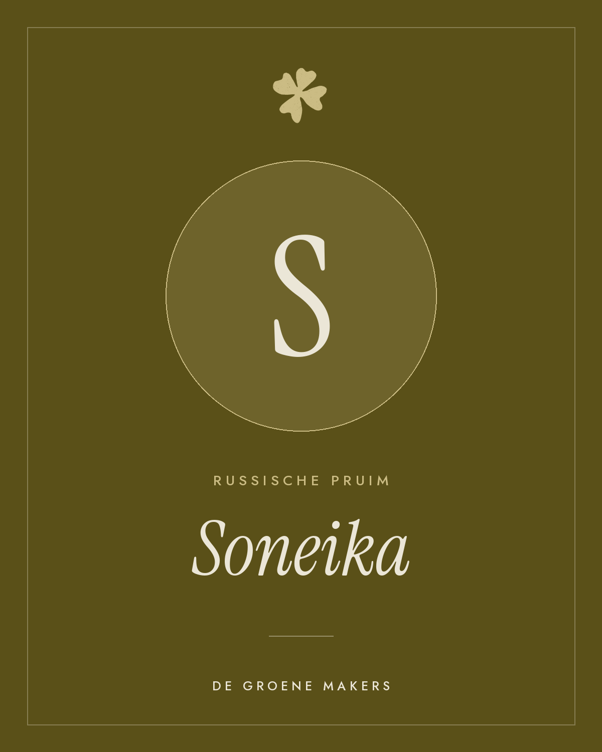 Russische pruim ‘Soneika’ - De Groene Makers