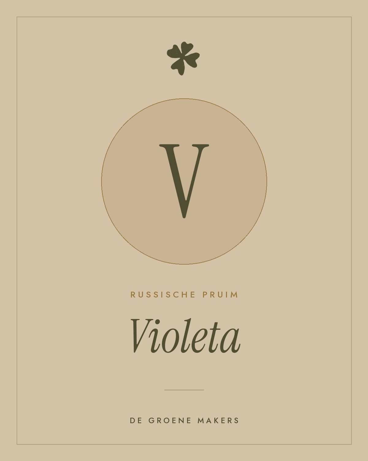 Russische pruim ‘Violeta’ - De Groene Makers