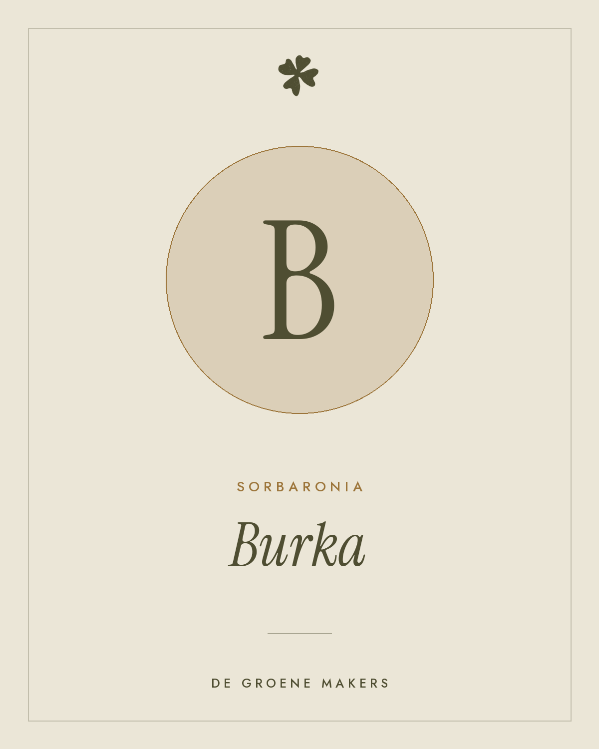 Lijsterbes × appelbes 'Burka' – De Groene Makers