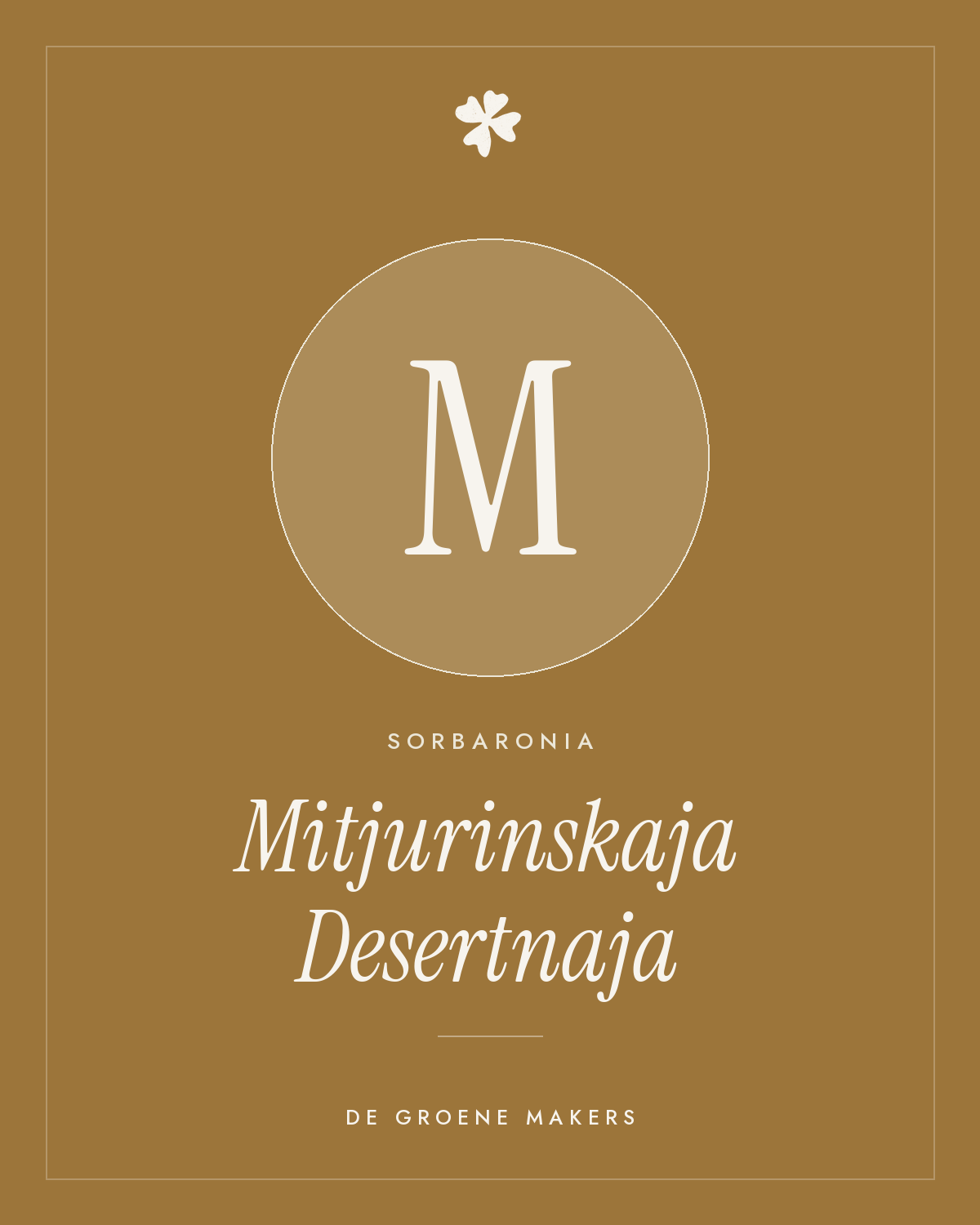 Lijsterbes × appelbes 'Mitjurinskaja Desertnaja' – De Groene Makers
