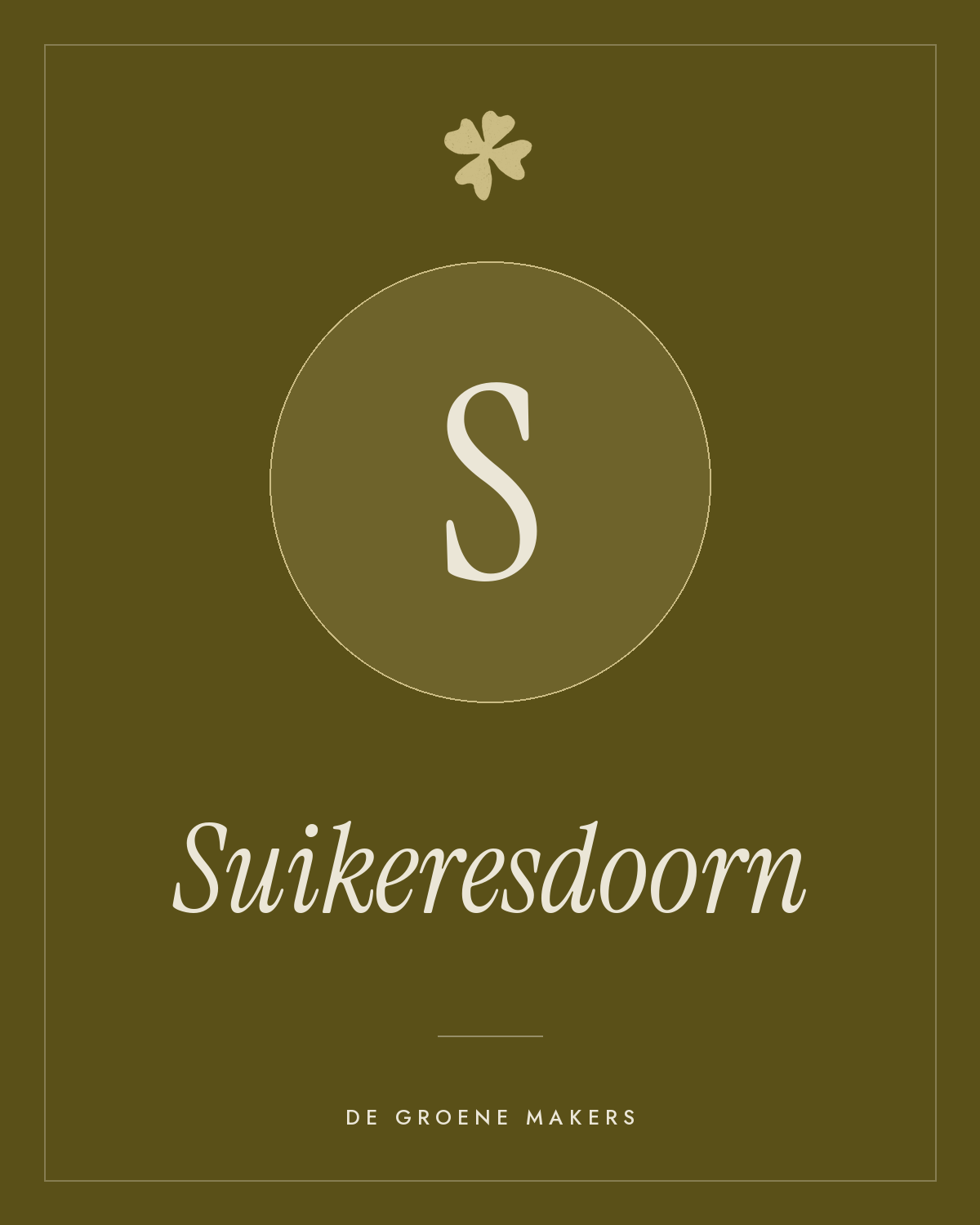 Suikeresdoorn - De Groene Makers