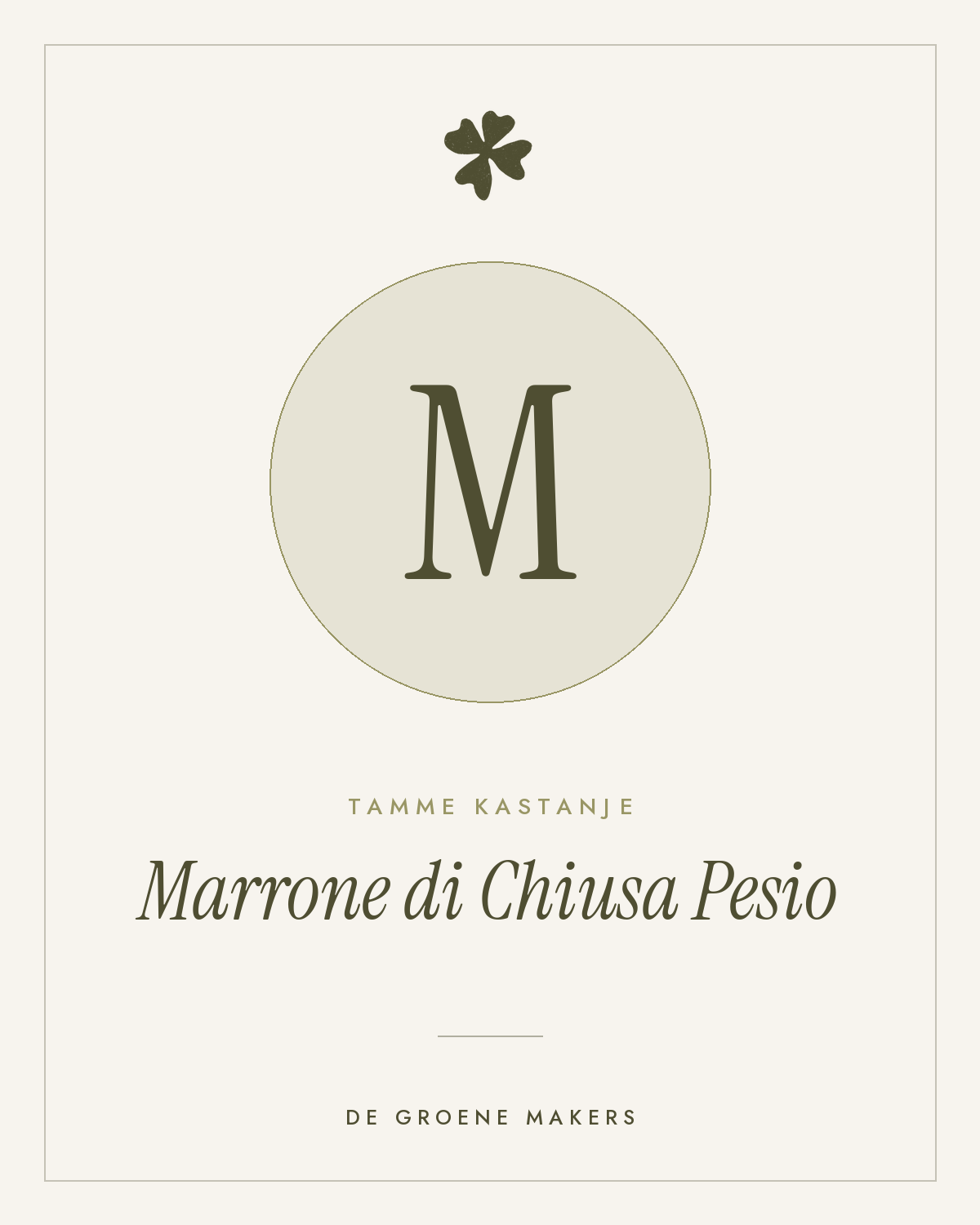 Tamme kastanje ‘Marrone di Chiusa Pesio’ - De Groene Makers