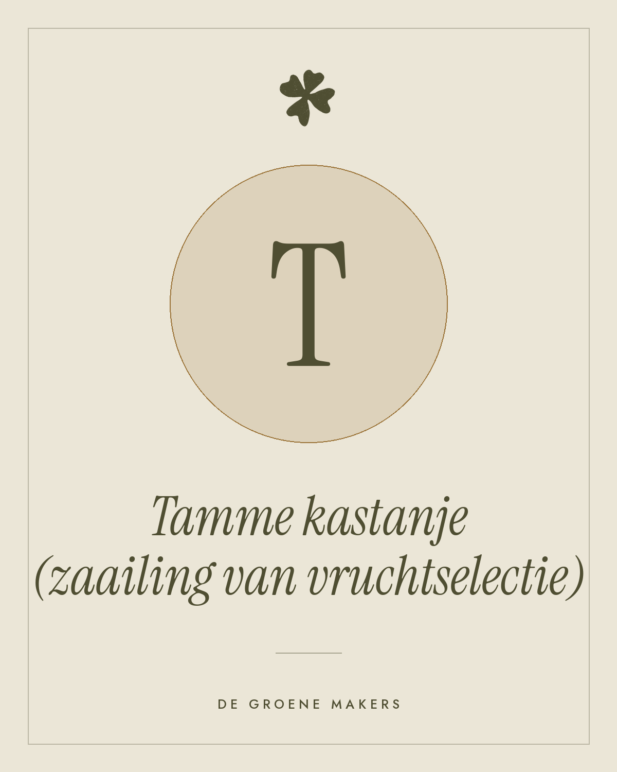 Tamme kastanje (zaailing van vruchtselectie) - De Groene Makers