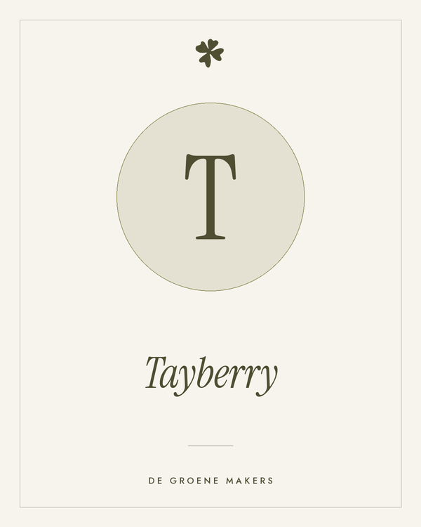 Tayberry – De Groene Makers