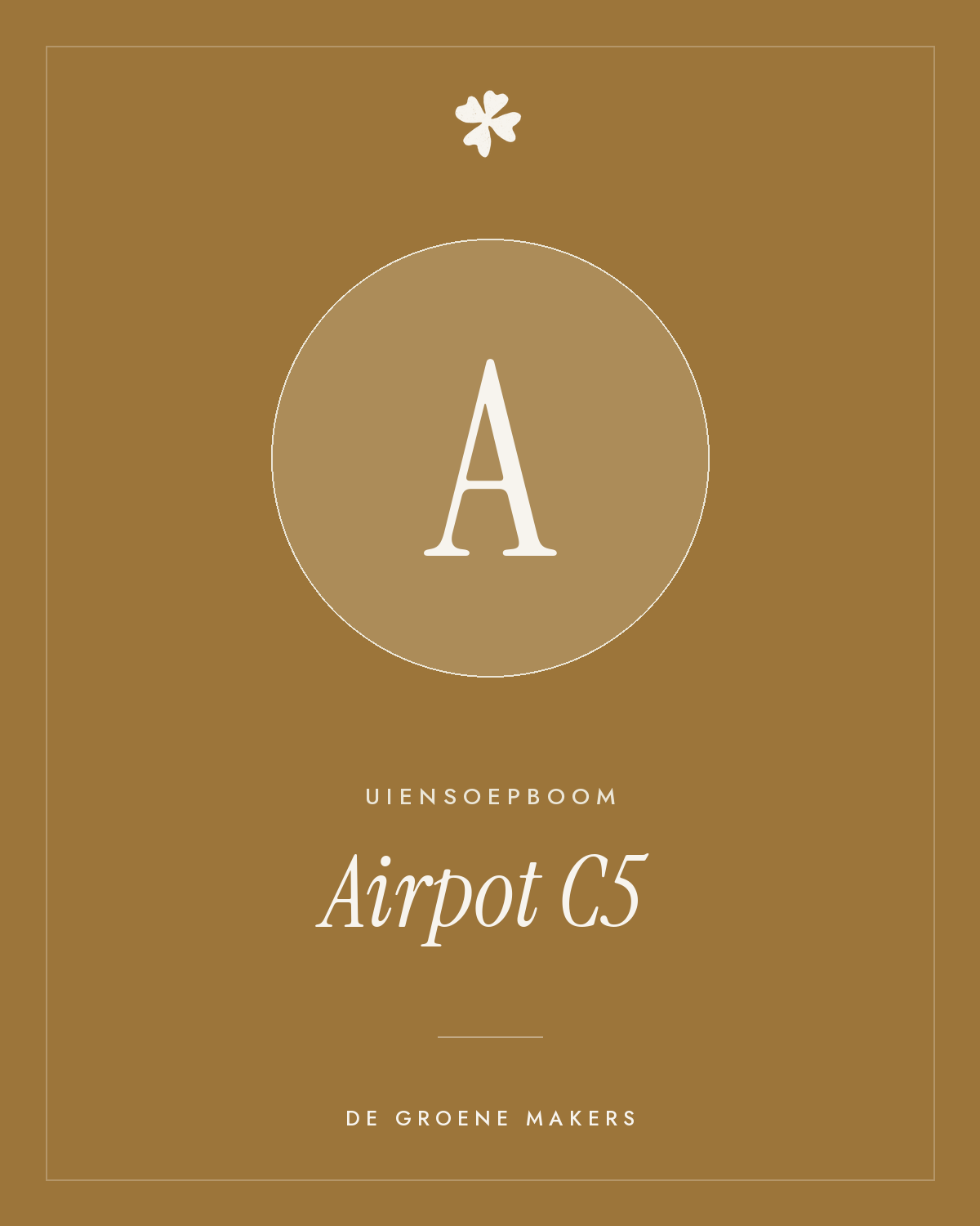 Uiensoepboom (Airpot C5) – De Groene Makers