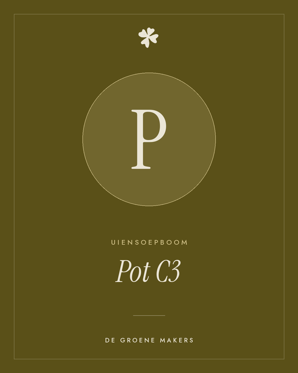 Uiensoepboom (Pot C3) – De Groene Makers