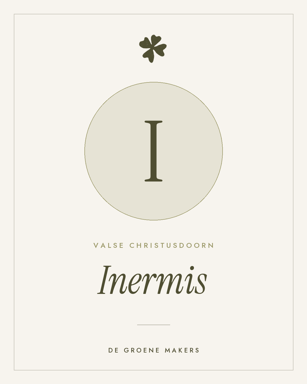 Valse christusdoorn ‘Inermis’ - De Groene Makers