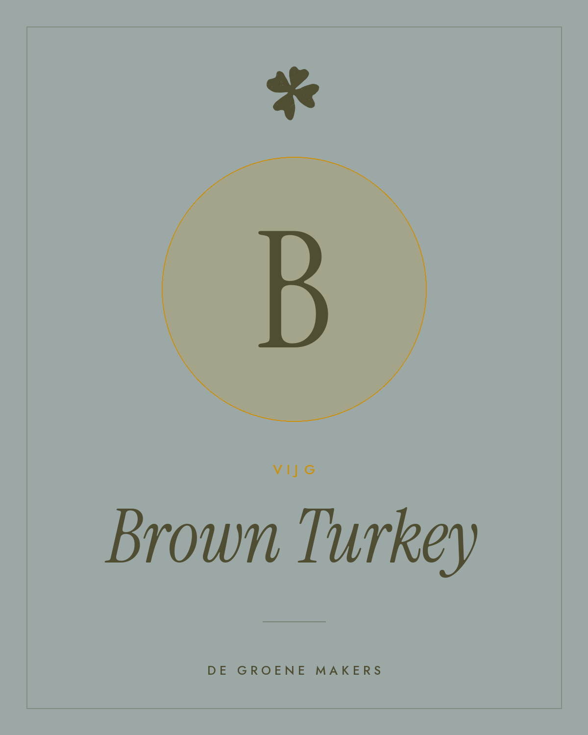 Vijg ‘Brown Turkey’ - De Groene Makers