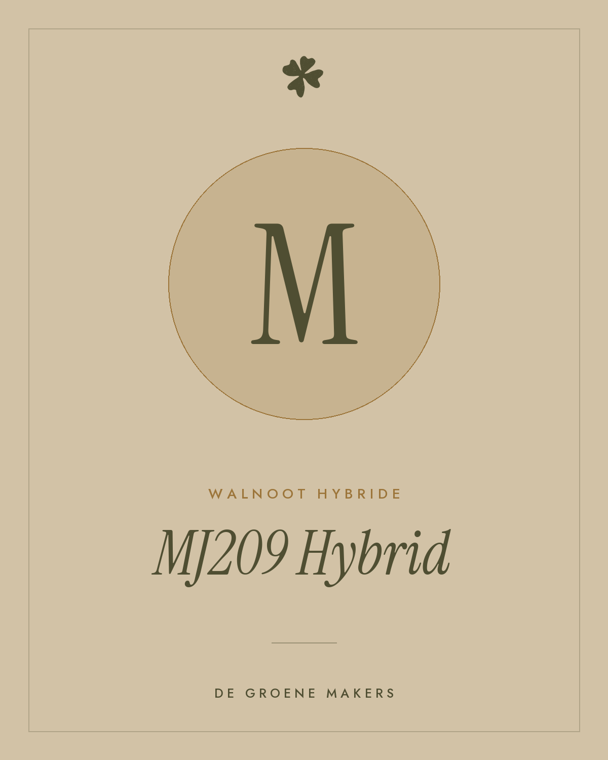 Walnoot hybride 'MJ209 Hybrid' – De Groene Makers