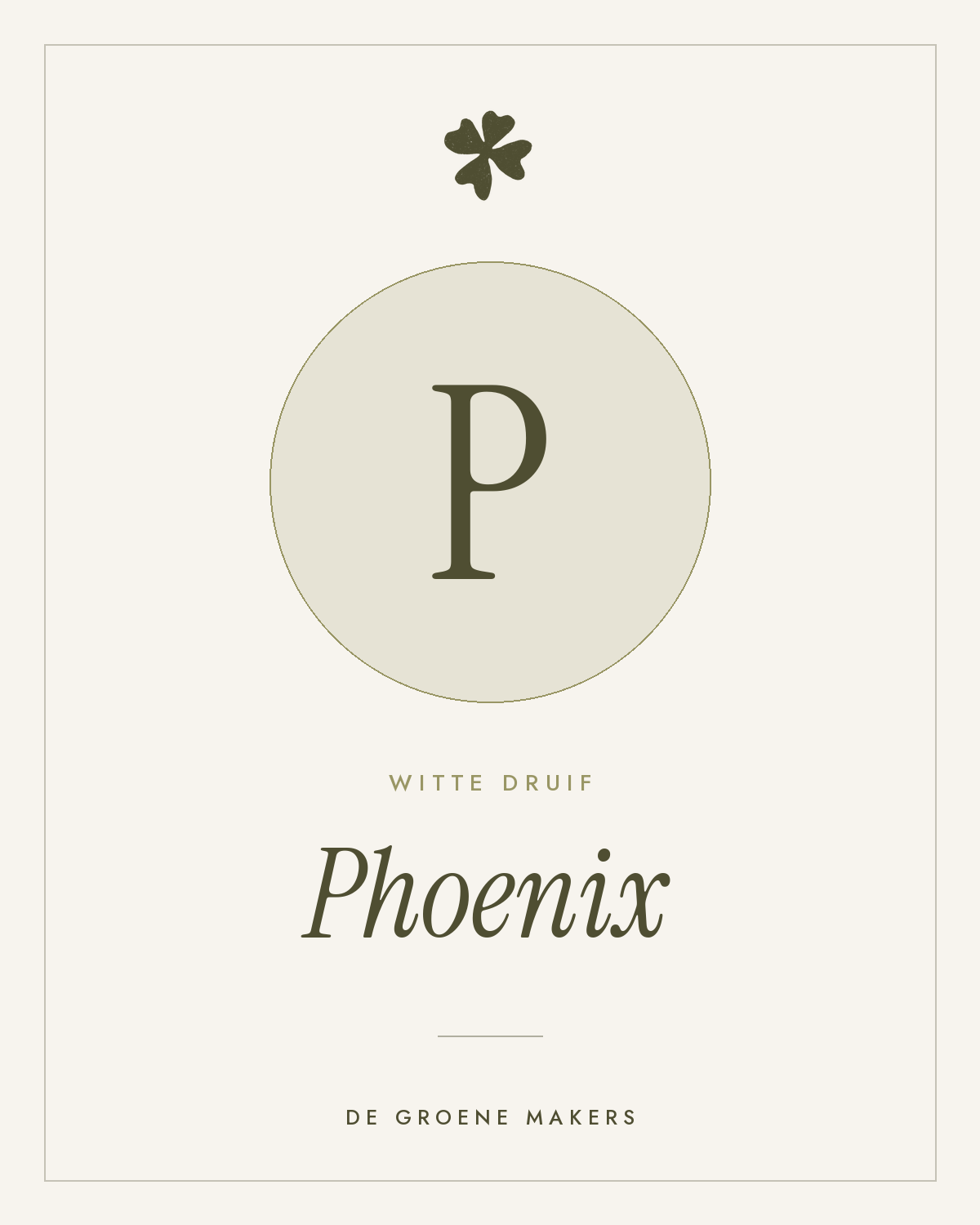 Witte druif ‘Phoenix’ - De Groene Makers