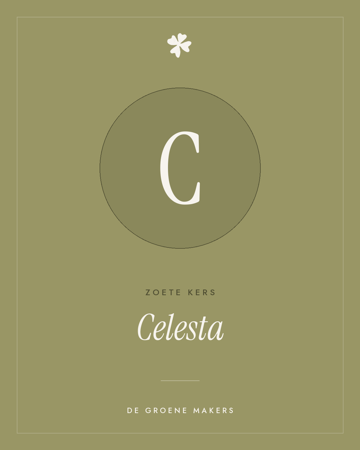 Zoete kers 'Celesta' – De Groene Makers