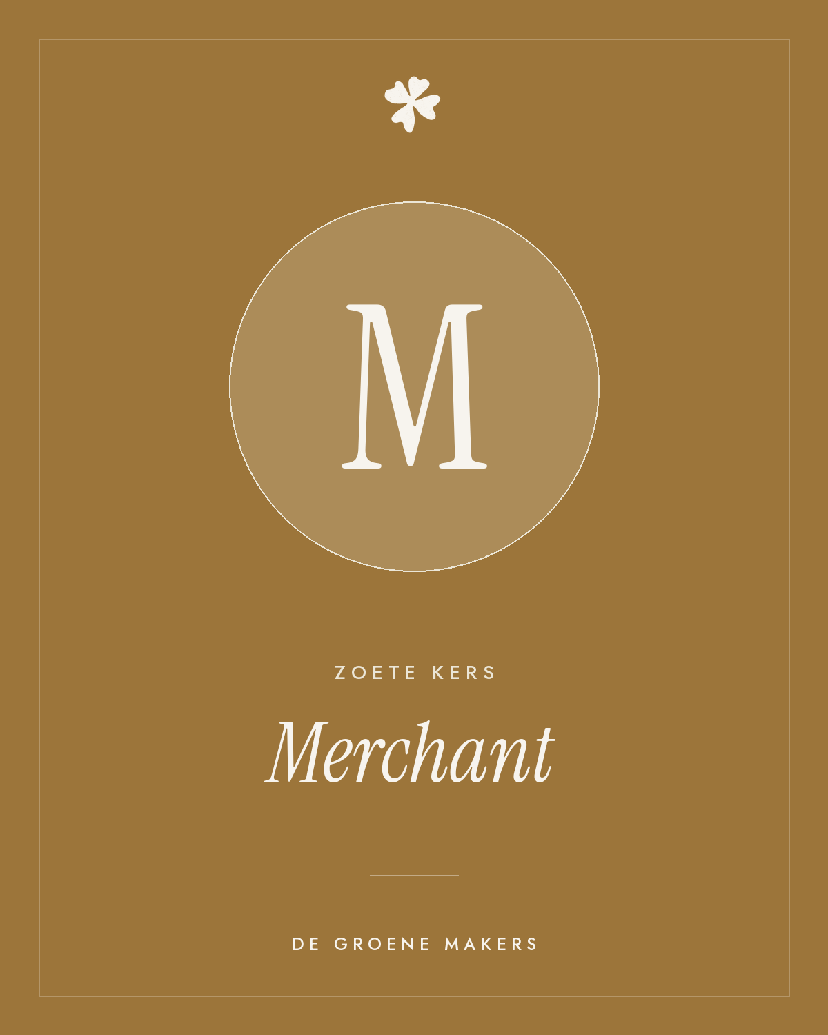 Zoete kers 'Merchant' – De Groene Makers