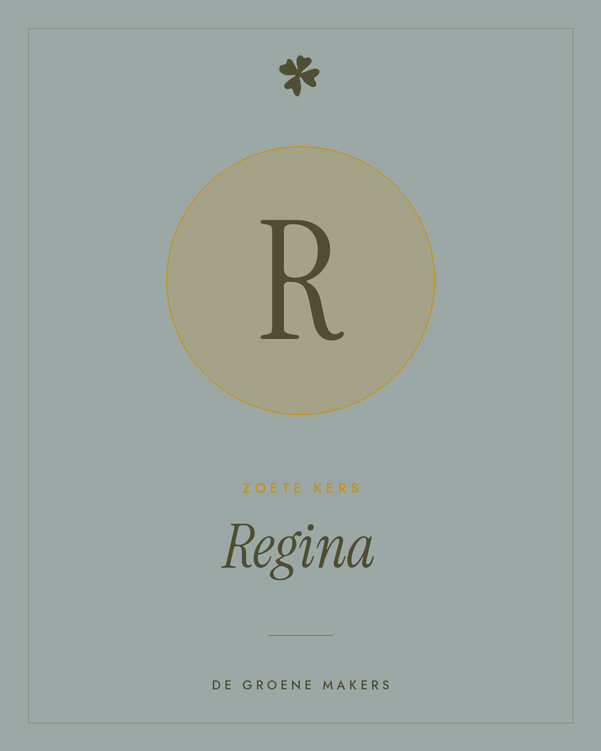 Zoete kers 'Regina' – De Groene Makers