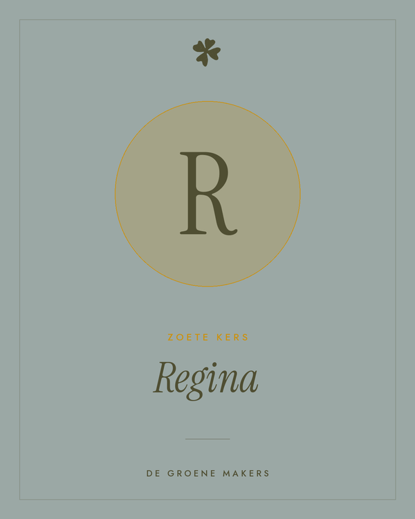 Zoete kers 'Regina' – De Groene Makers
