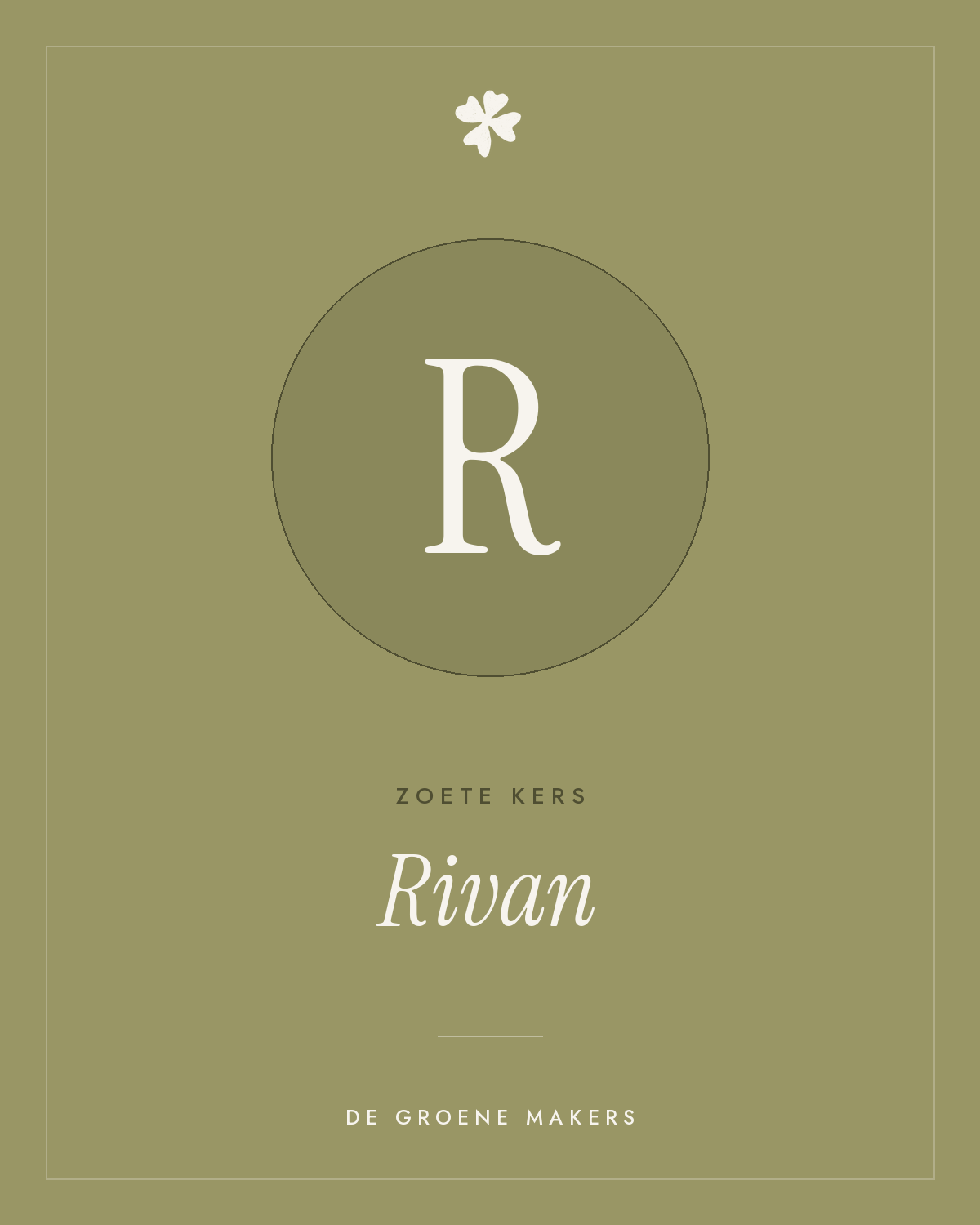 Zoete kers 'Rivan' – De Groene Makers