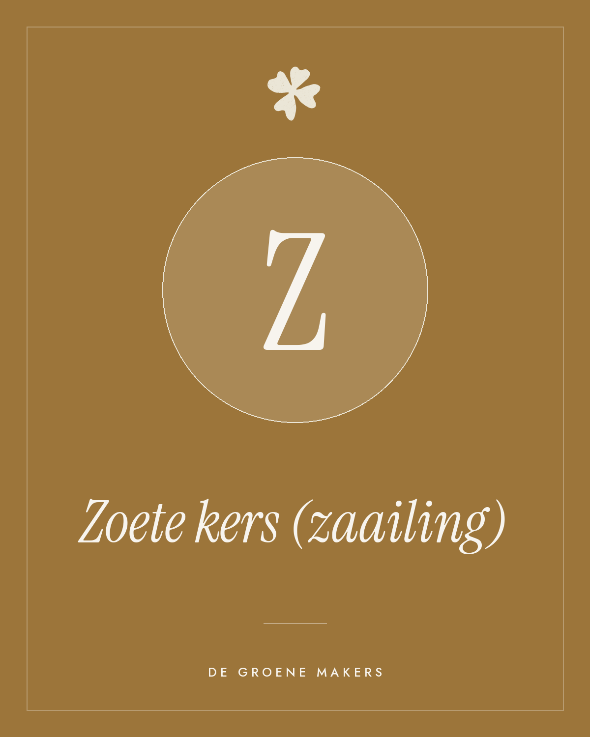Zoete kers (zaailing) - De Groene Makers