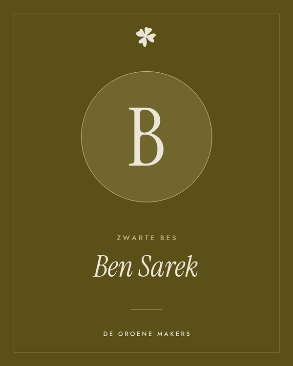 Zwarte bes 'Ben Sarek' – De Groene Makers