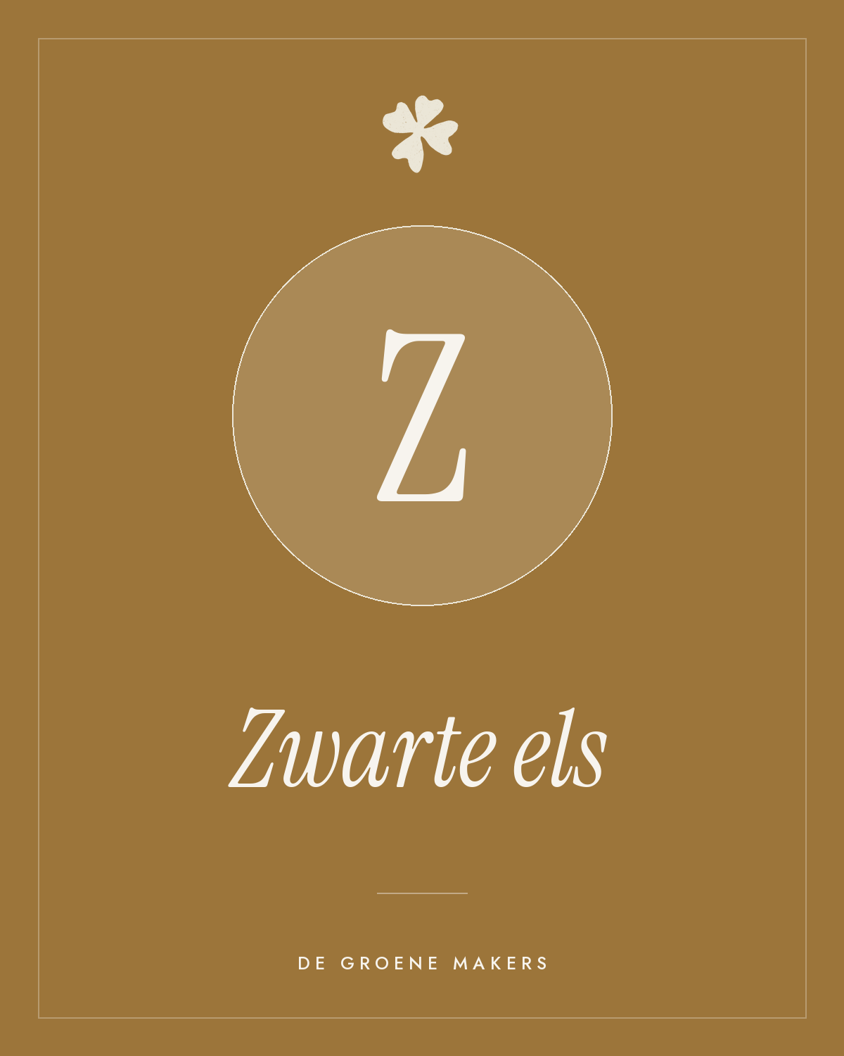 Zwarte els - De Groene Makers