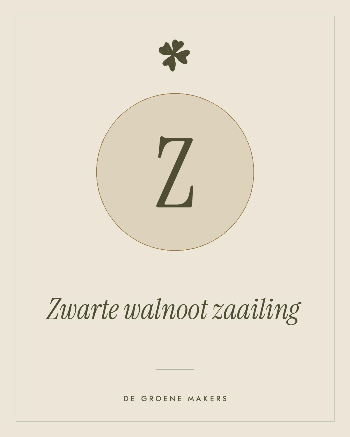 Zwarte walnoot zaailing - De Groene Makers