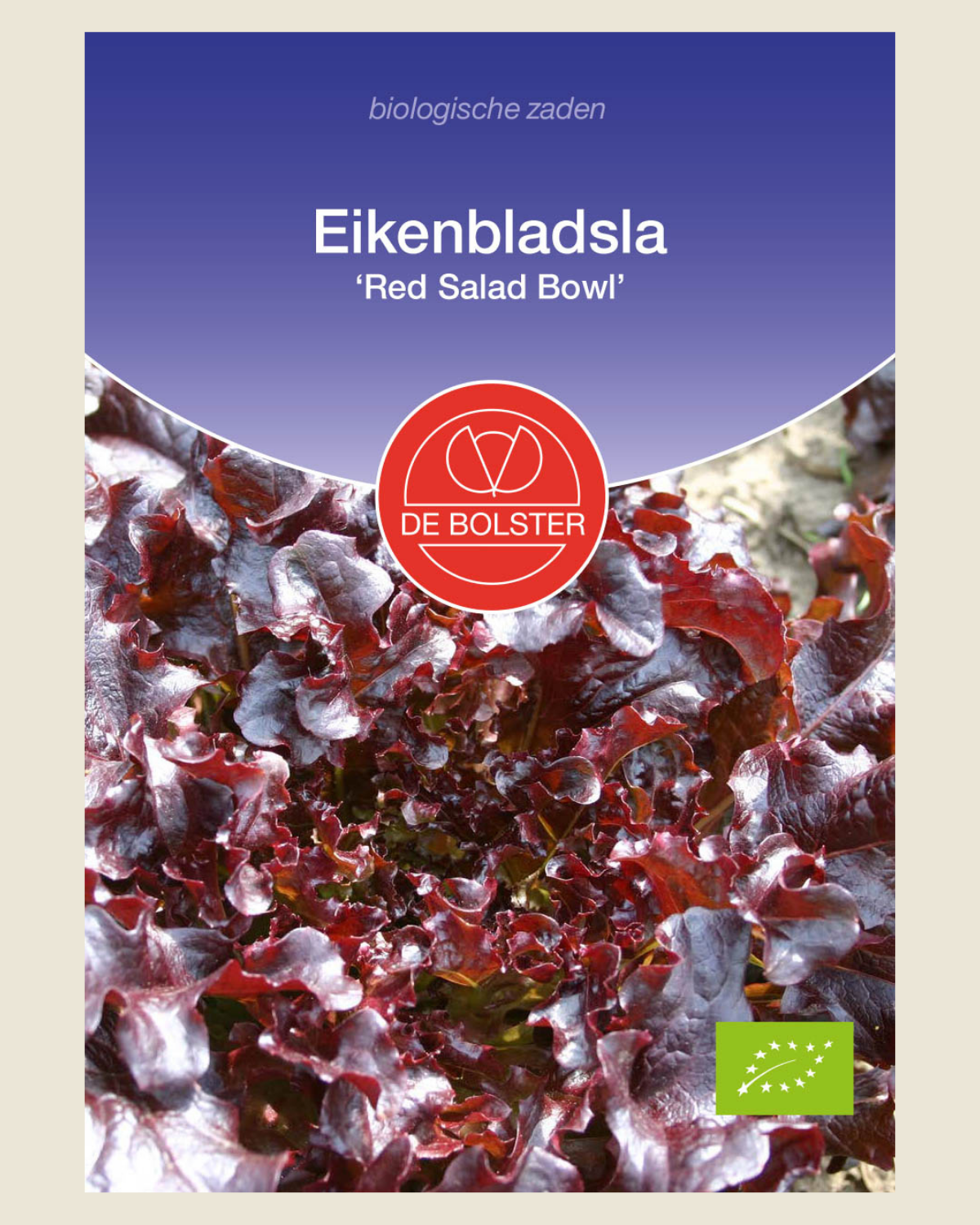Eikenbladsla 'Red Salad Bowl' BIO