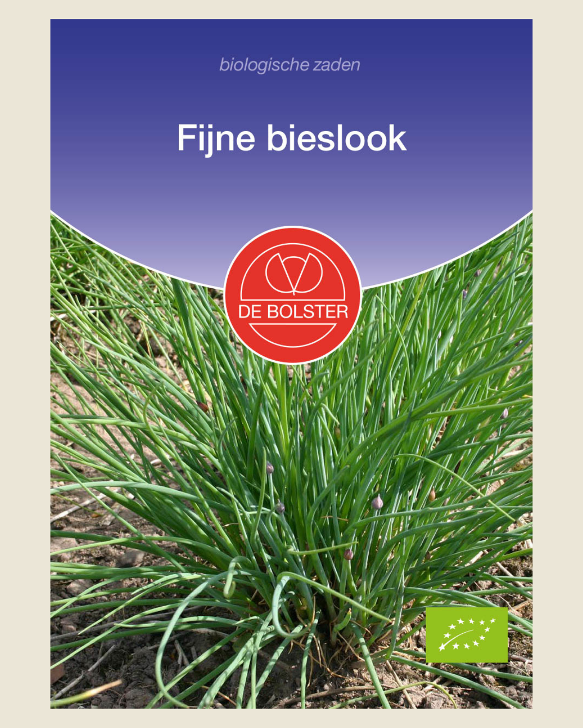 Fijne bieslook