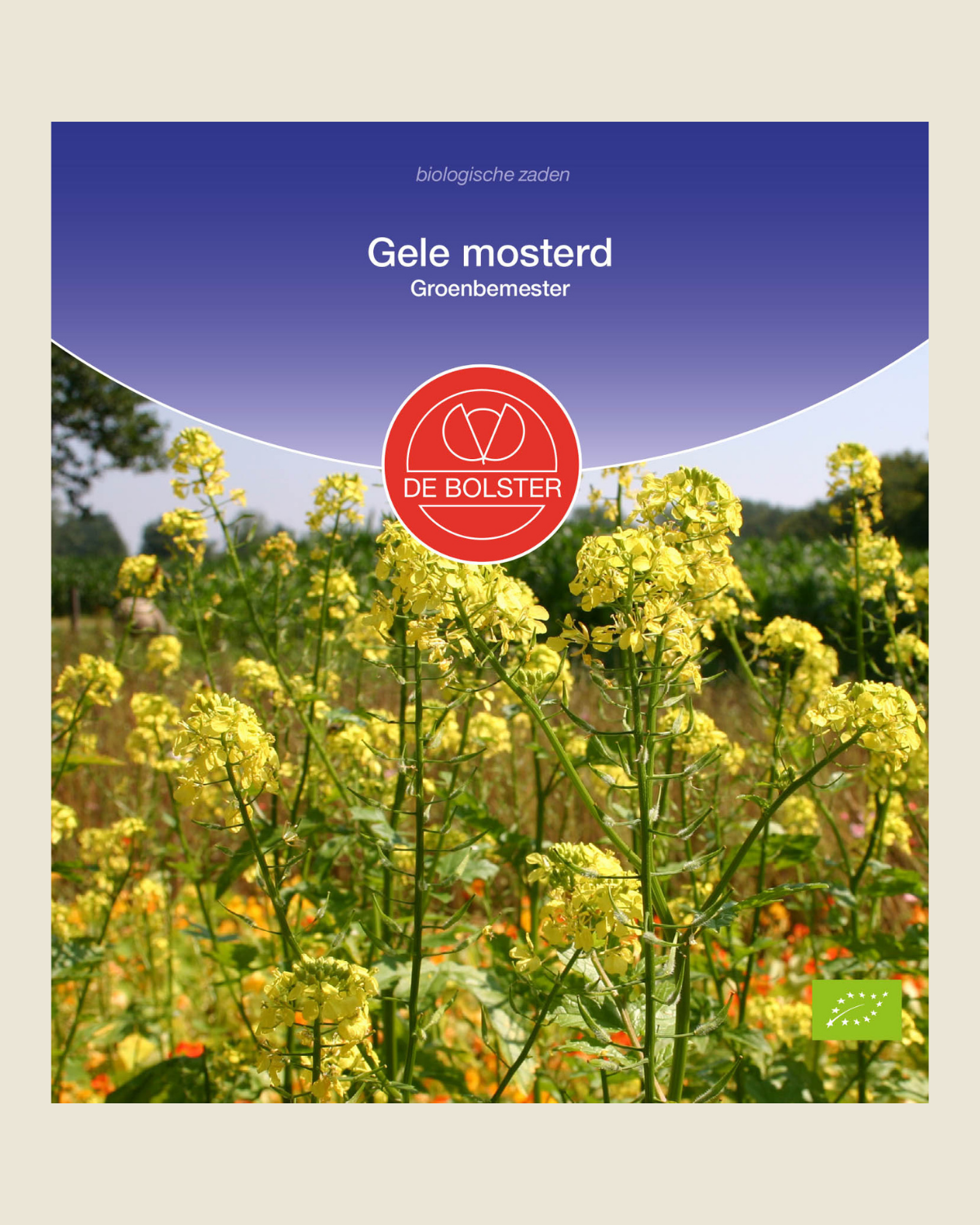 Gele mosterd BIO