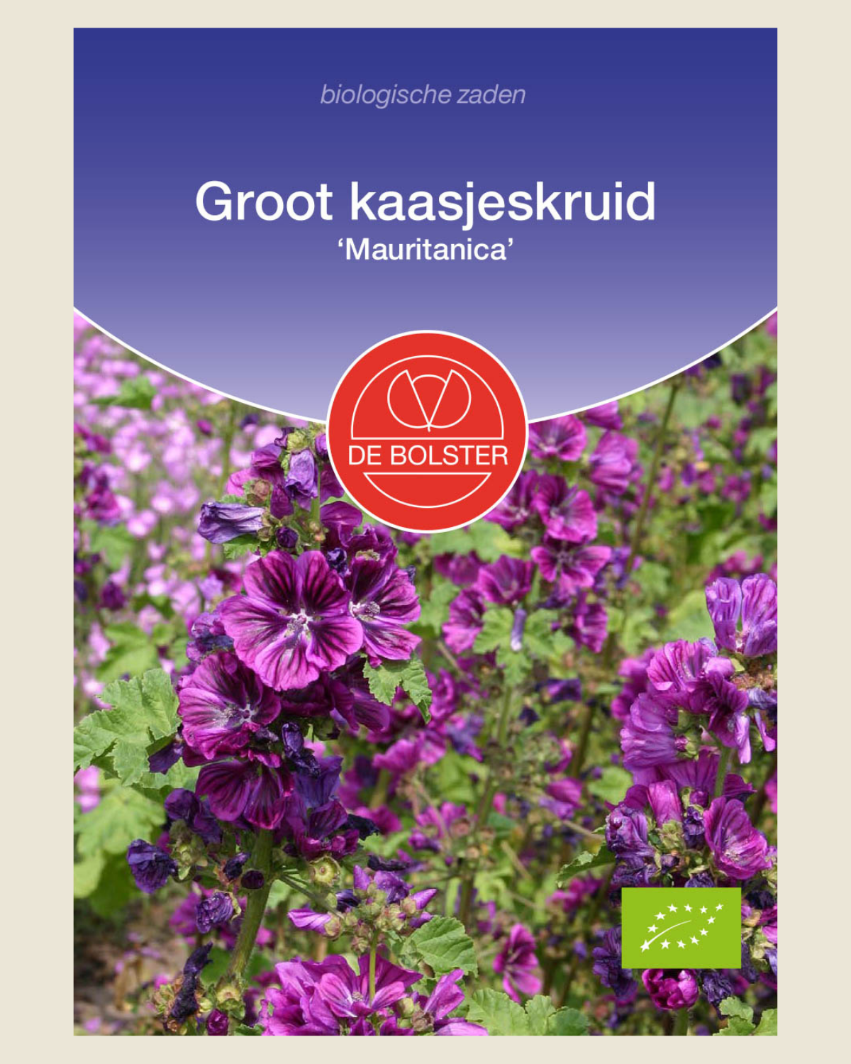 Groot kaasjeskruid 'Mauritanica' BIO