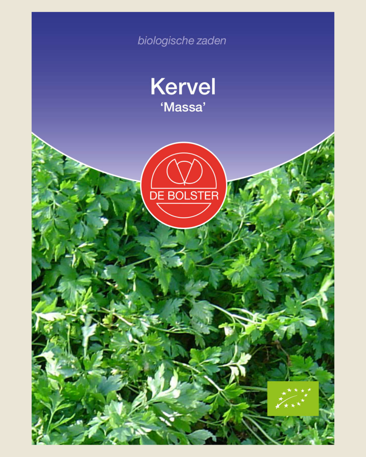 Kervel 'Massa'