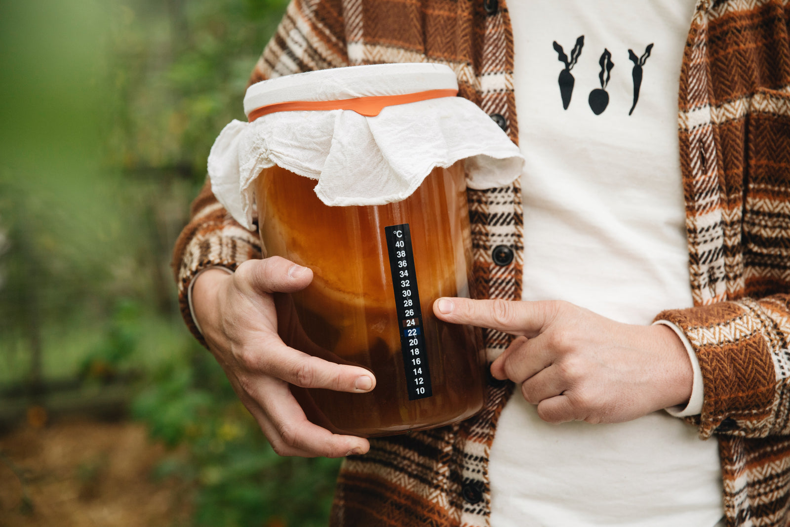 Kombucha