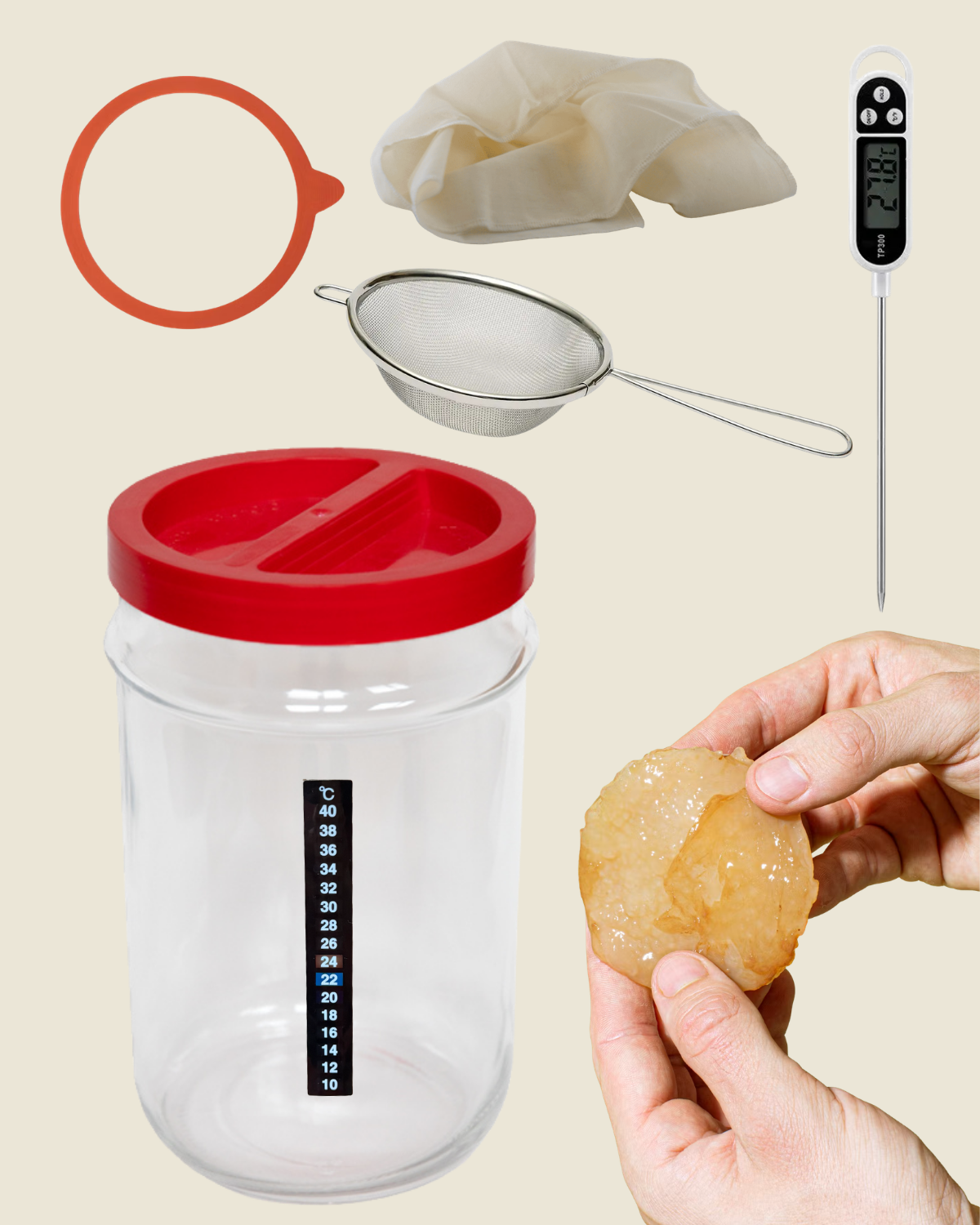 Kombucha startset met bokaal van 5 liter, scoby, kaasdoek, thermometers en zeef