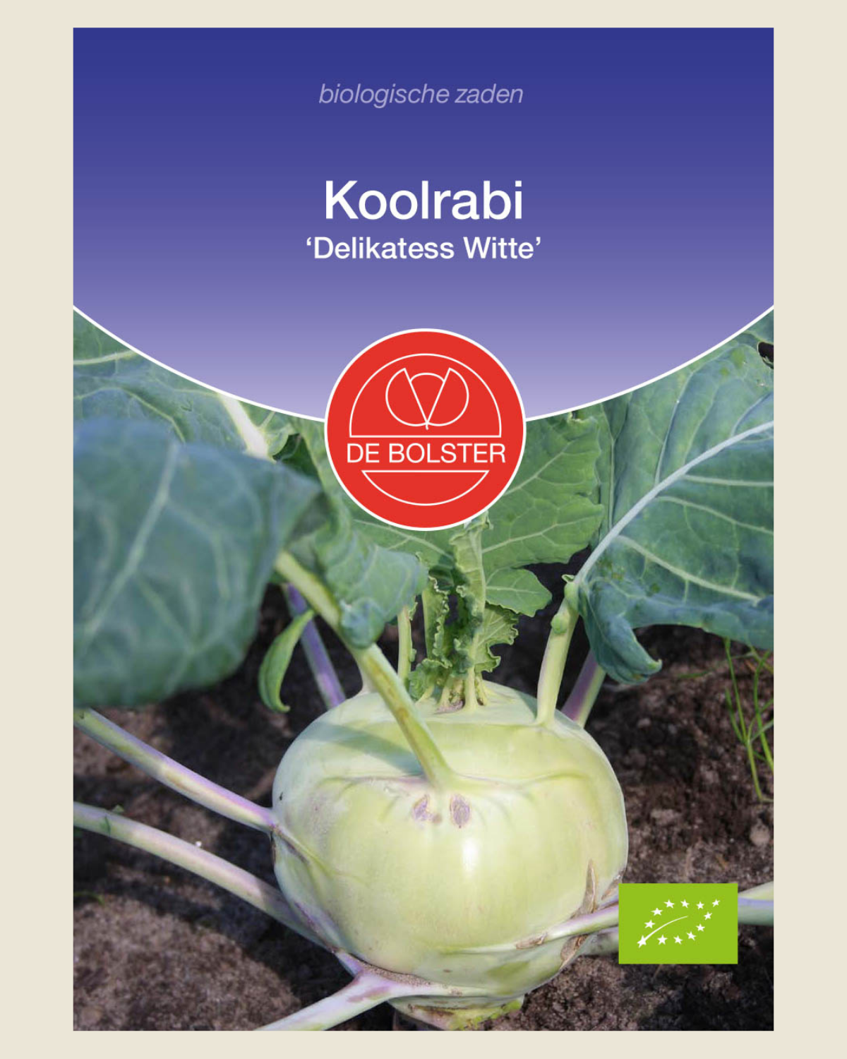 Koolrabi 'Delikatess Witte' BIO