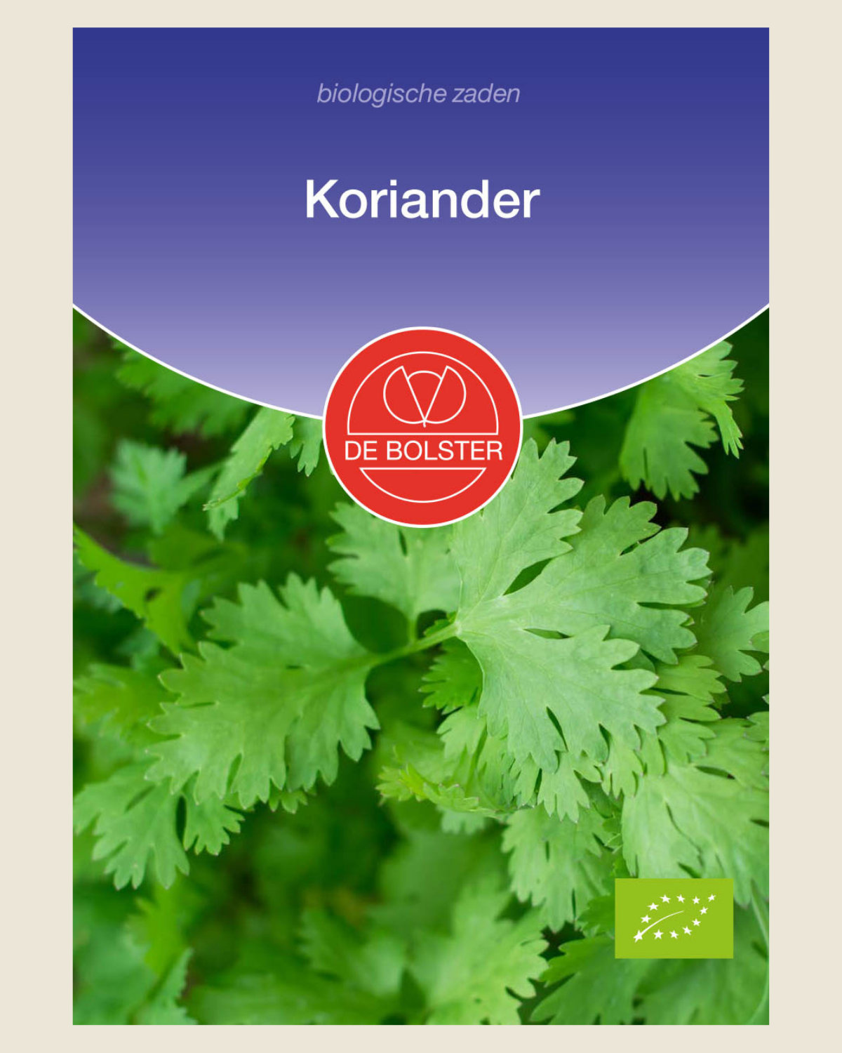 Koriander