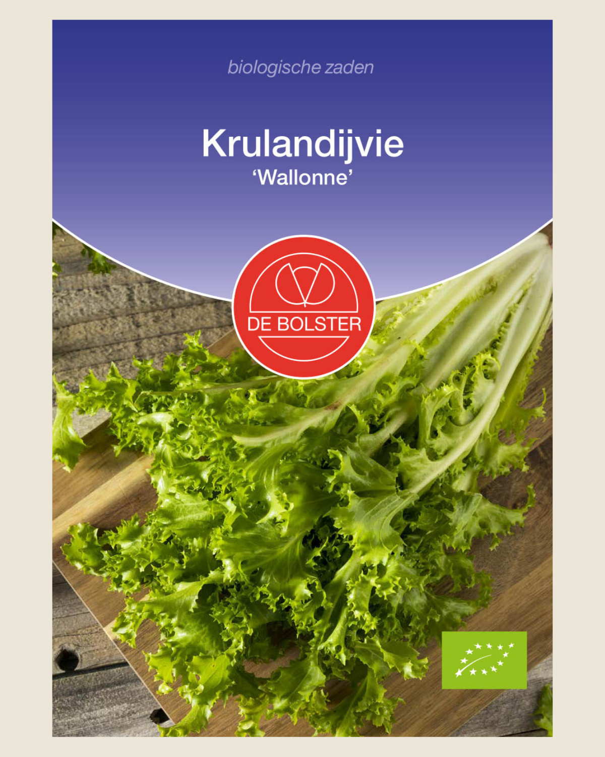 Krulandijvie 'Wallonne' BIO