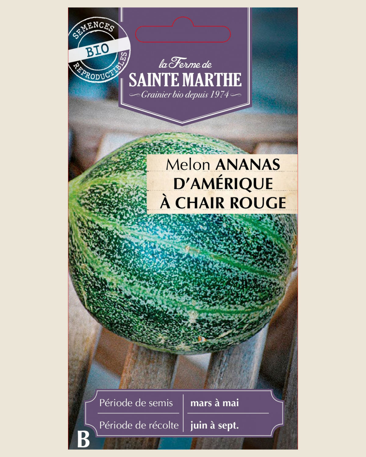 Meloen 'Ananas d'Amérique' BIO zakje - De Groene Makers