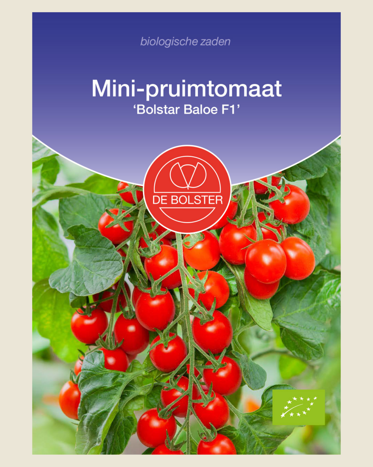 Mini-pruimtomaat 'Bolstar Baloe F1' BIO