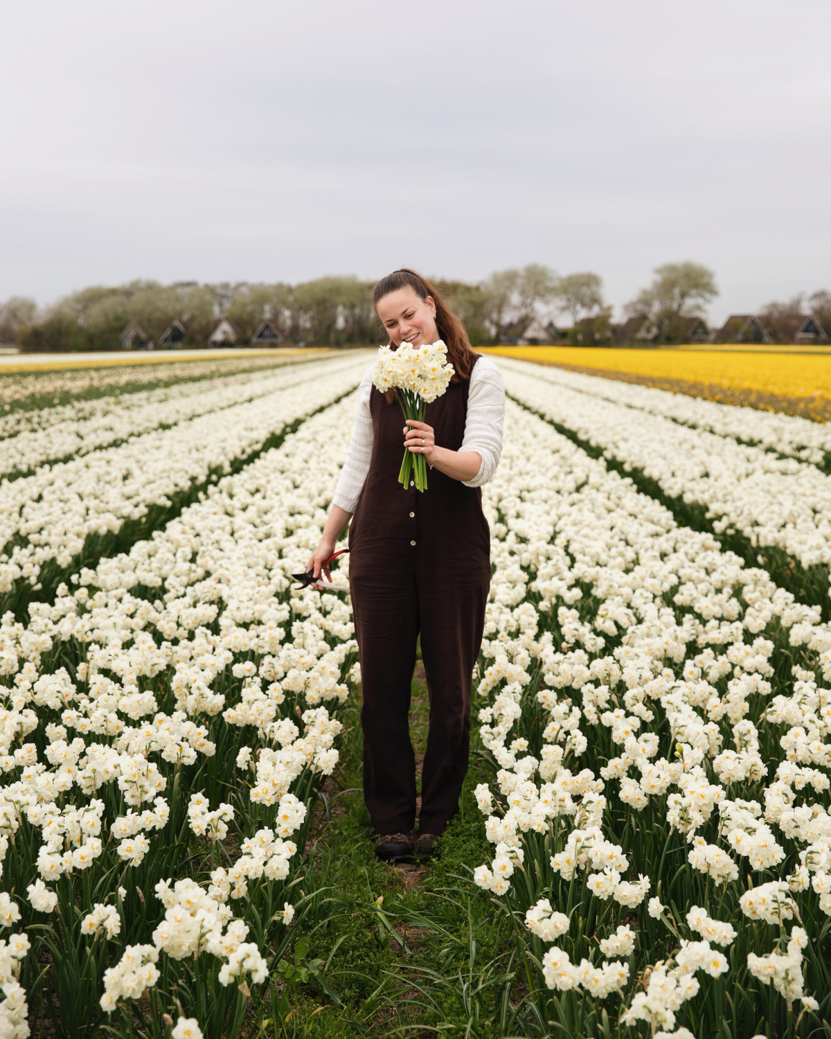 Narcis ‘Bridal Crown’ BIO (8 stuks)