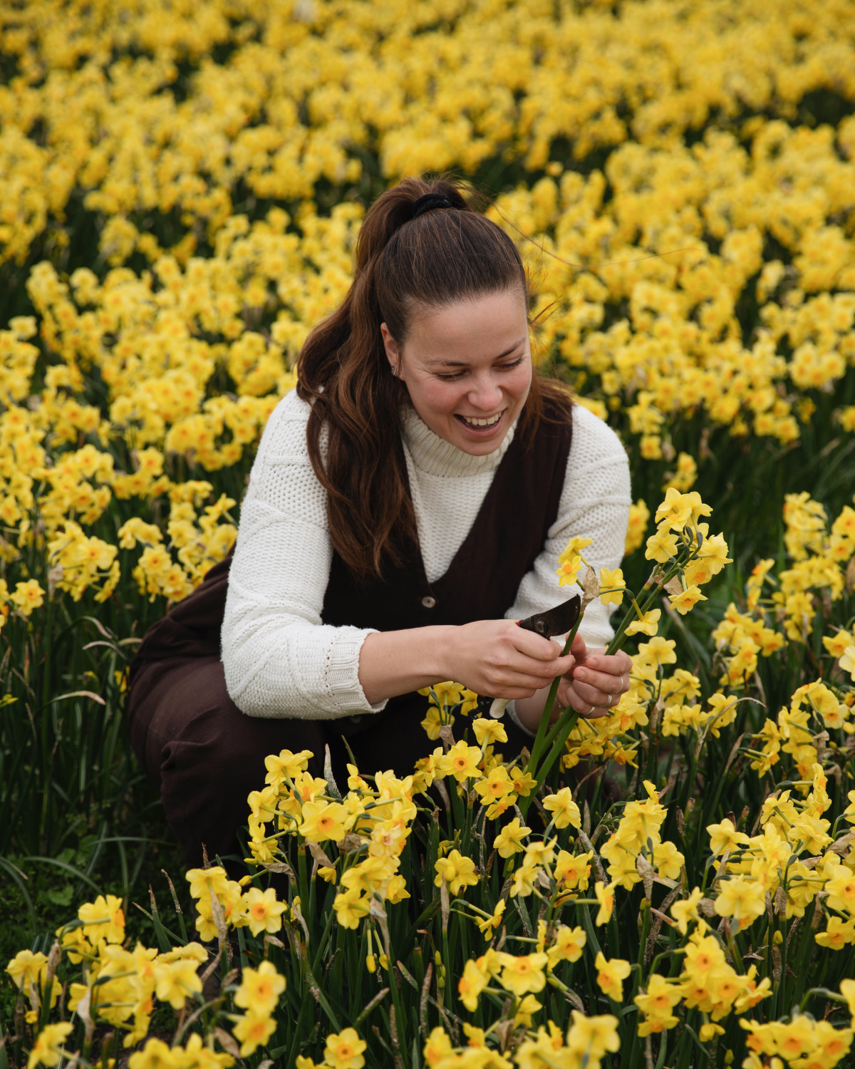 Narcis ‘Martinette’ BIO (8 stuks)