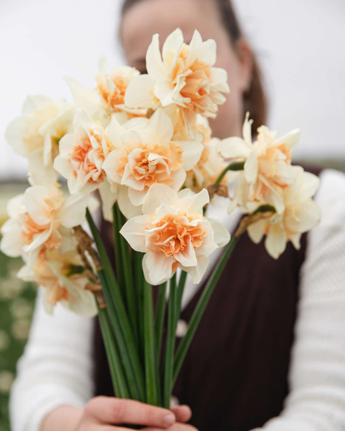 Narcis ‘Replete’ BIO (8 stuks)