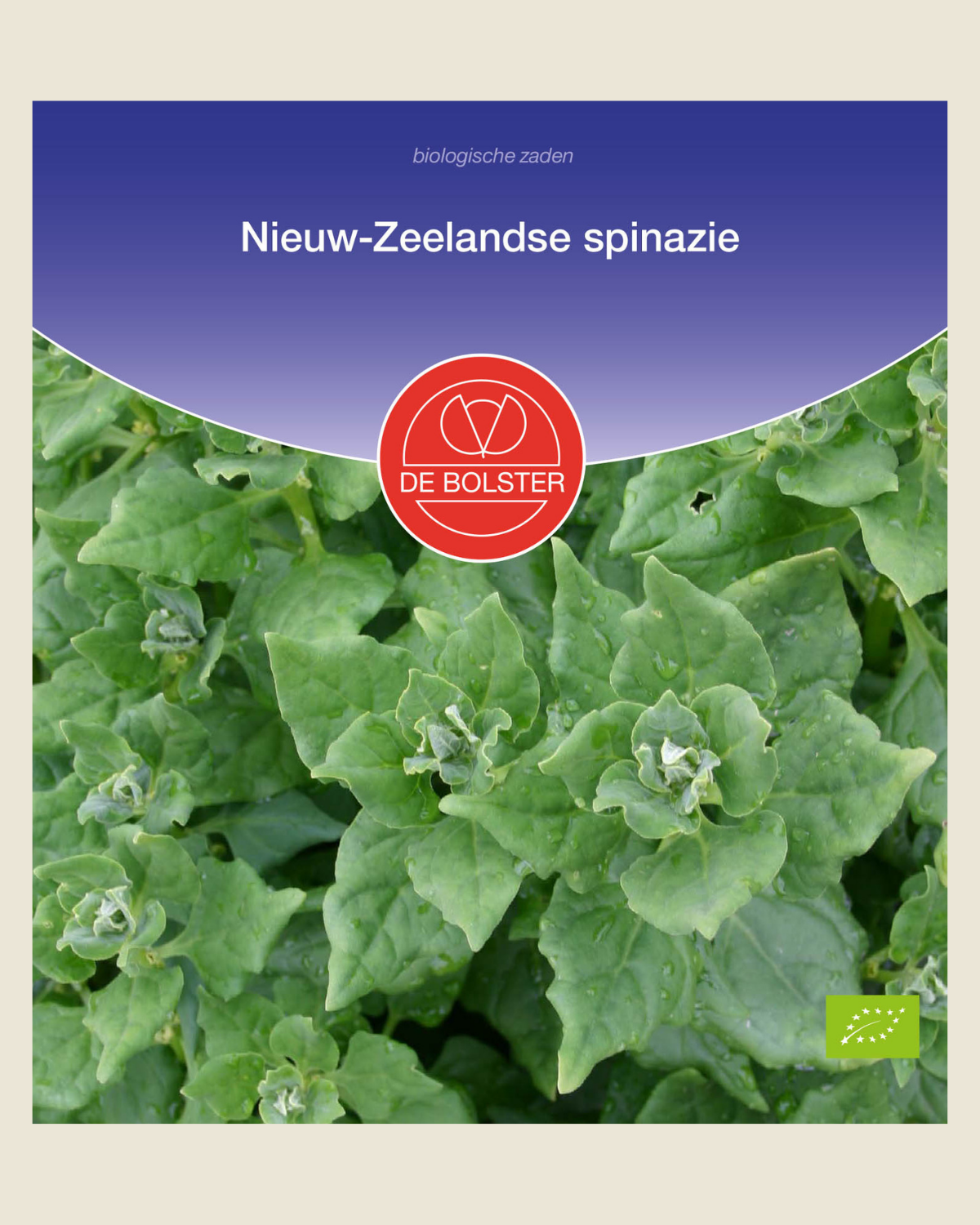 Nieuw-Zeelandse spinazie BIO