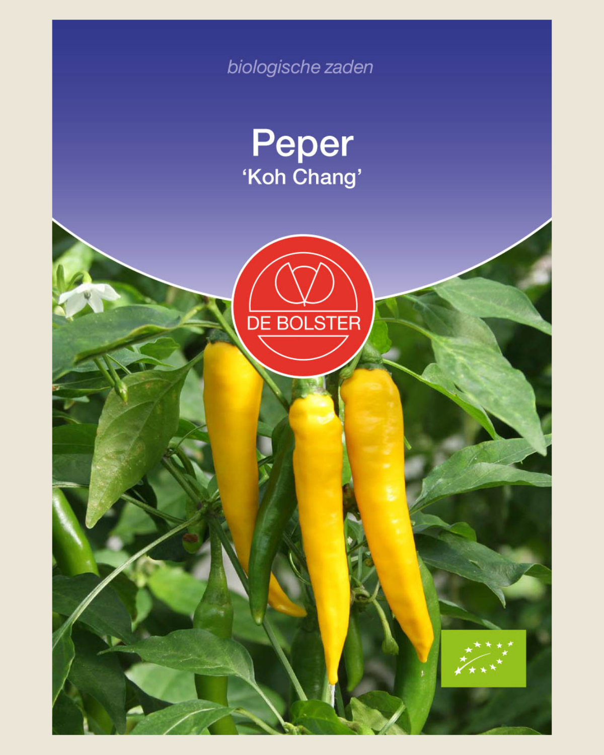 Peper 'Koh Chang' BIO