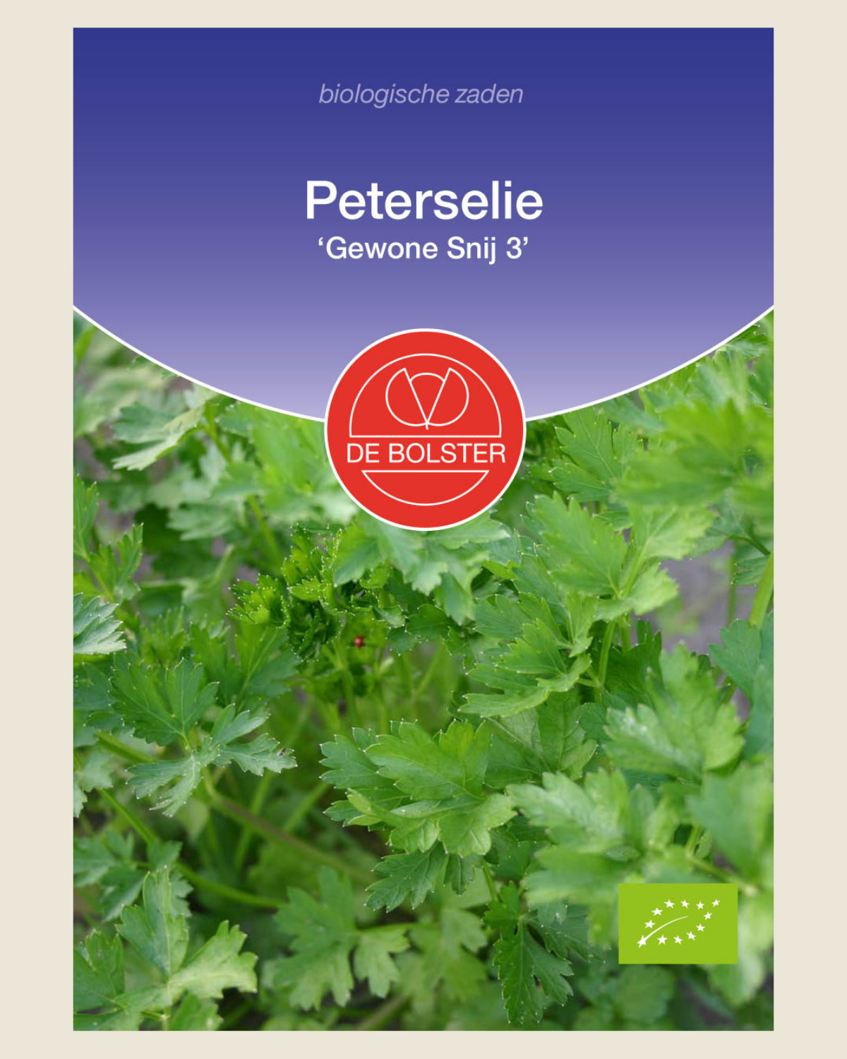 Peterselie 'Gewone Snij 3'