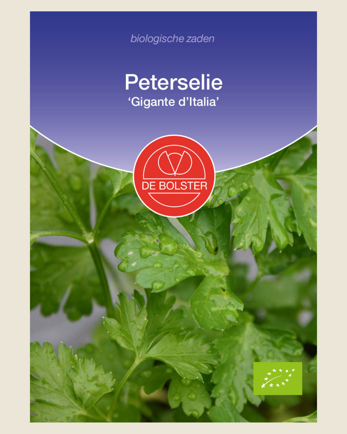 Peterselie 'Gigante d'Italia'