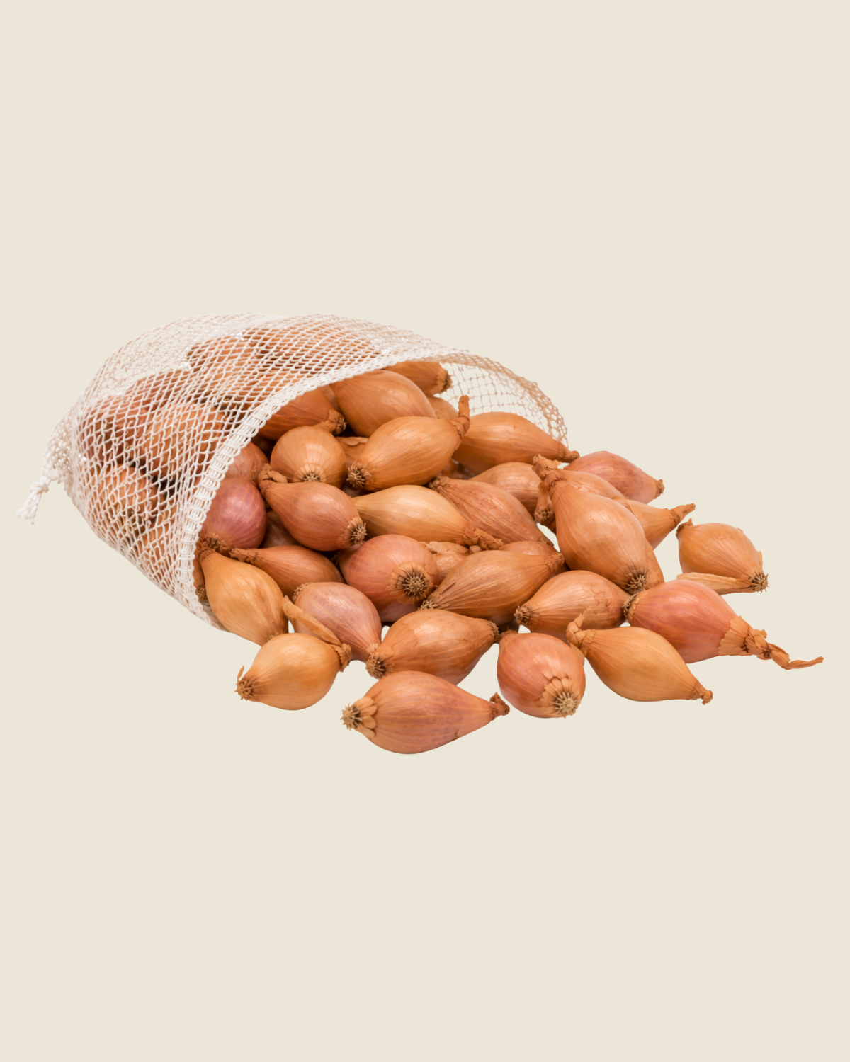 Plantui Shakespeare BIO - 250 gram biologische winterplantuien