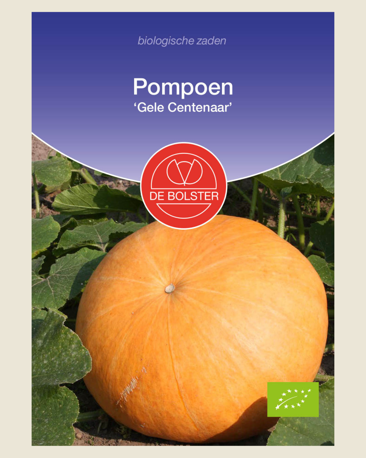 Pompoen 'Gele Centenaar' BIO