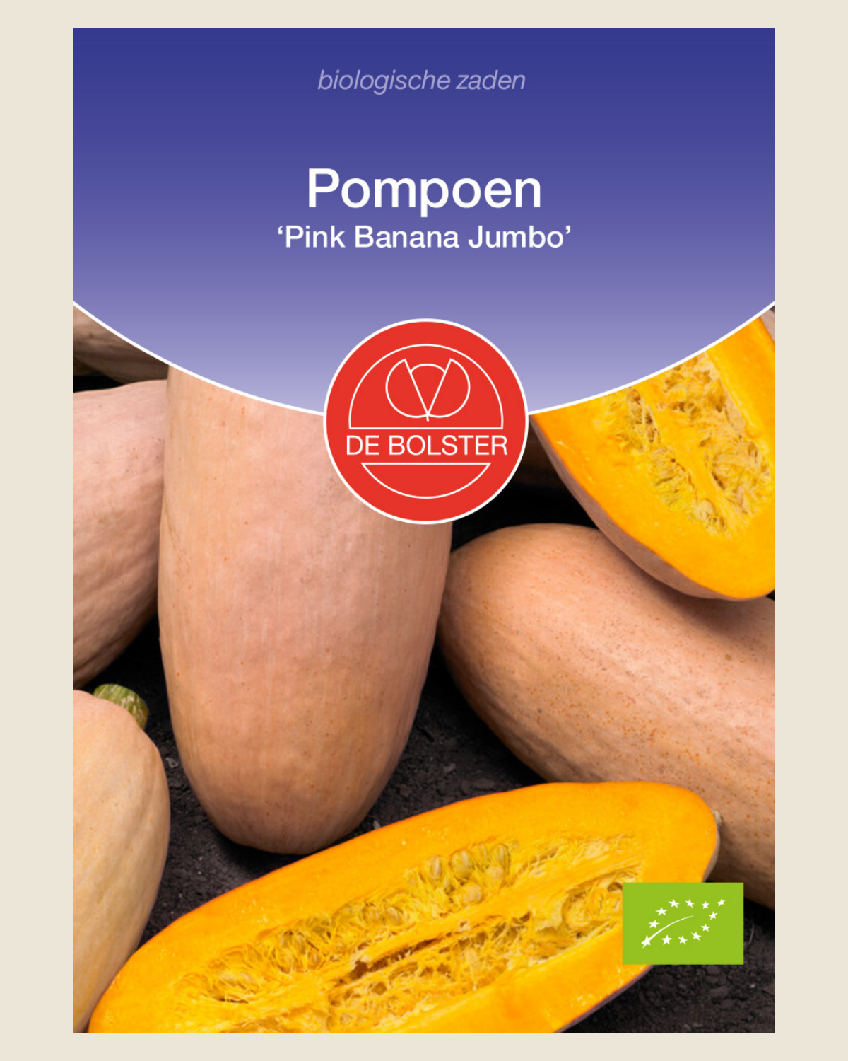 Pompoen 'Pink Banana Jumbo' BIO