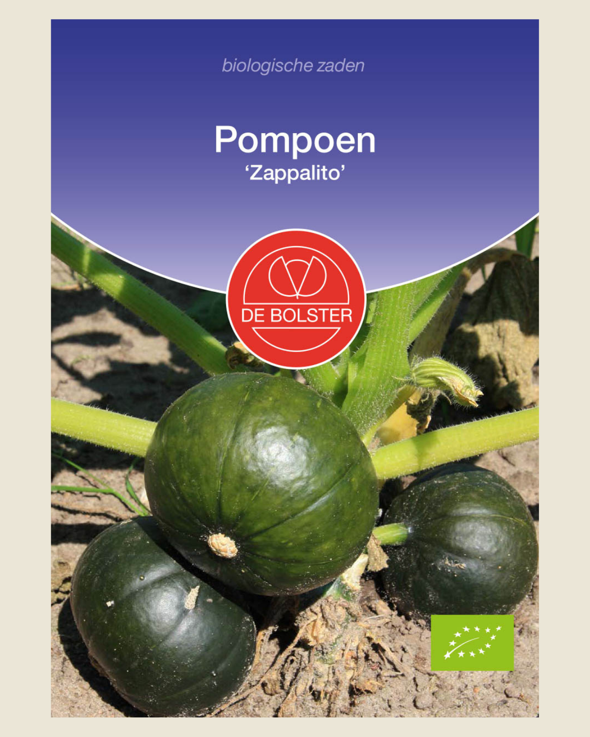 Pompoen 'Zappalito' BIO