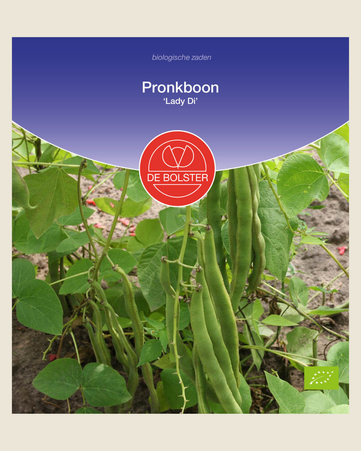 Pronkboon 'Lady Di' BIO