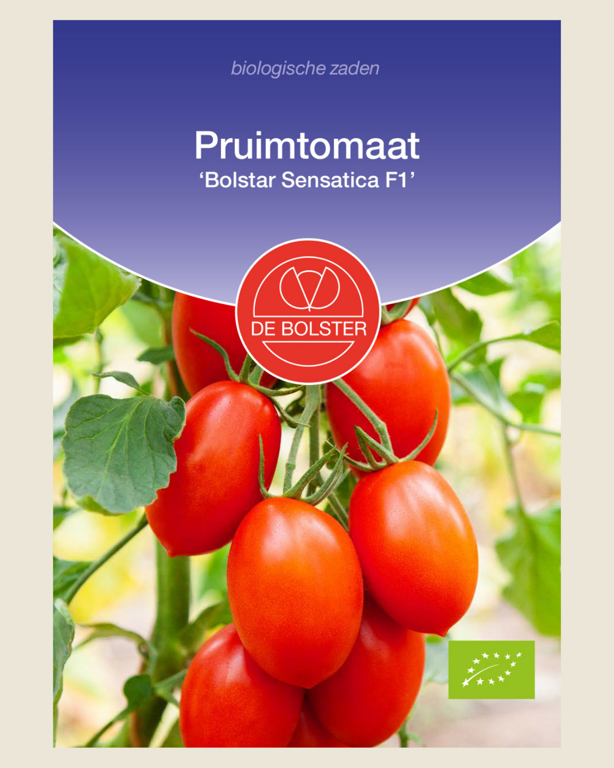 Pruimtomaat 'Bolstar Sensatica F1' BIO