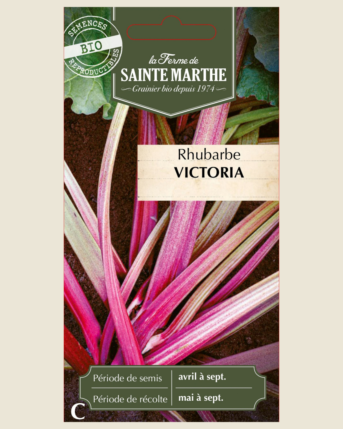 Rabarber 'Victoria' BIO zakje - De Groene Makers