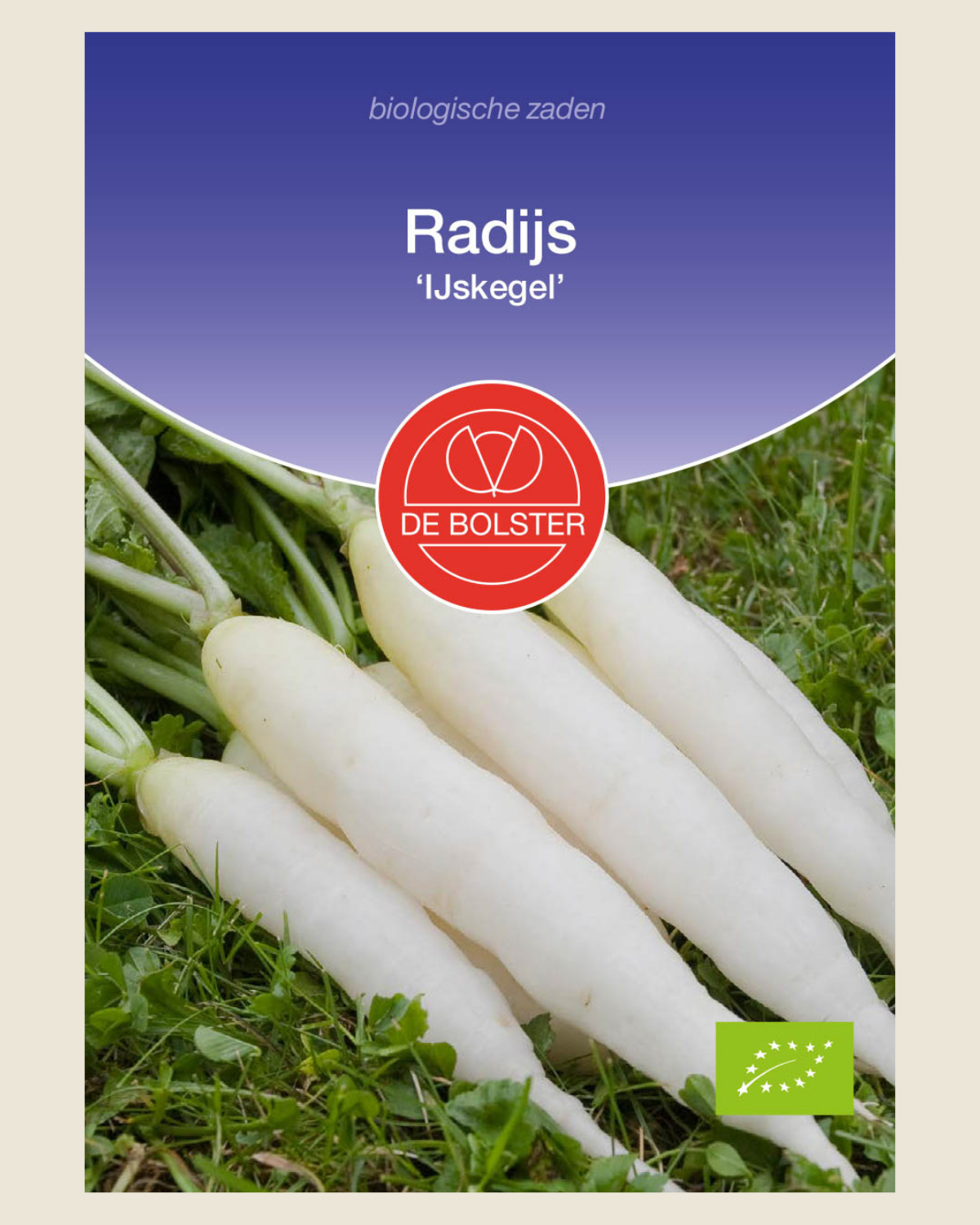 Radijs 'IJskegel' BIO